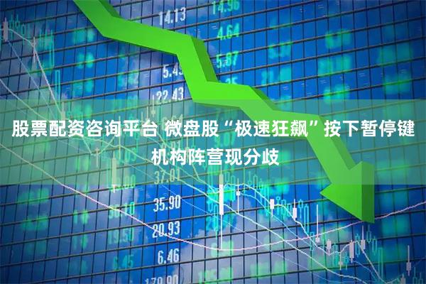 股票配资咨询平台 微盘股“极速狂飙”按下暂停键 机构阵营现分歧