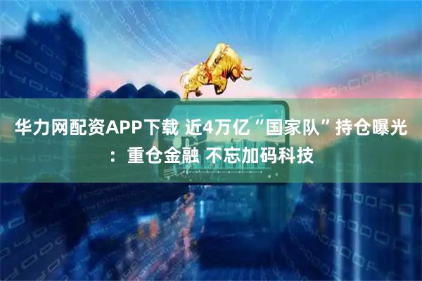 华力网配资APP下载 近4万亿“国家队”持仓曝光：重仓金融 不忘加码科技